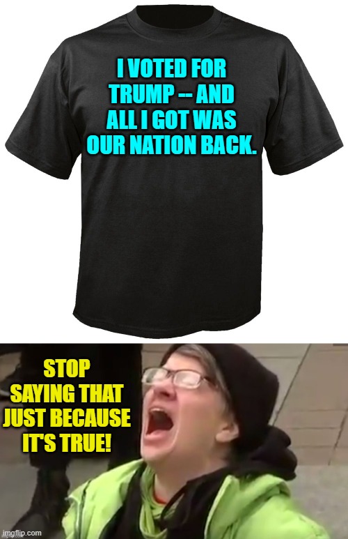 The actual truth hurts . . . eh leftists? | I VOTED FOR TRUMP -- AND ALL I GOT WAS OUR NATION BACK. STOP SAYING THAT JUST BECAUSE IT'S TRUE! | image tagged in blank t-shirt | made w/ Imgflip meme maker