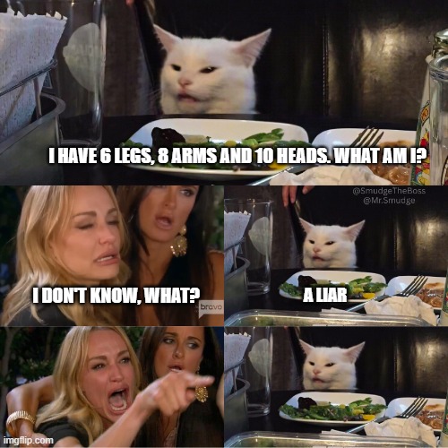 A Liar | I HAVE 6 LEGS, 8 ARMS AND 10 HEADS. WHAT AM I? I DON'T KNOW, WHAT? A LIAR | image tagged in woman yelling at white cat,two women yelling at a cat,woman yelling at cat | made w/ Imgflip meme maker