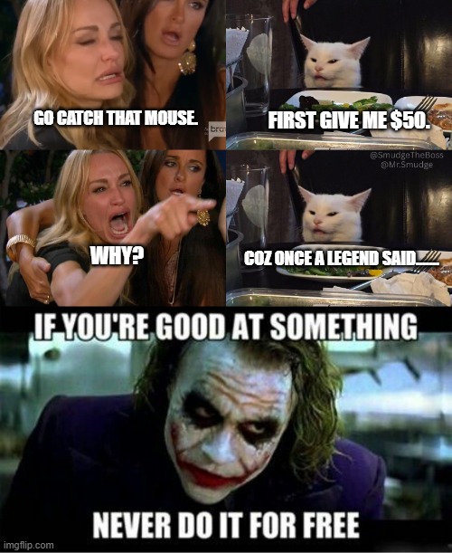 What a legend say | FIRST GIVE ME $50. GO CATCH THAT MOUSE. COZ ONCE A LEGEND SAID....... WHY? | image tagged in white cat table,woman yelling at white cat,two women yelling at a cat,funny cat memes,woman yelling at cat,cat memes | made w/ Imgflip meme maker