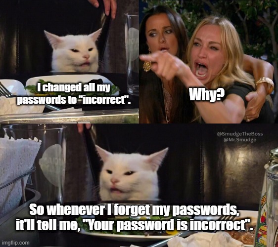 password remember trick | I changed all my passwords to "incorrect". Why? So whenever I forget my passwords, it'll tell me, "Your password is incorrect". | image tagged in smudge that darn cat,smudge that darn cat with karen,two women yelling at a cat | made w/ Imgflip meme maker
