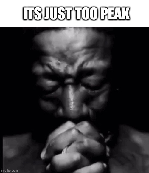 it’s just too peak | ITS JUST TOO PEAK | image tagged in reaction | made w/ Imgflip meme maker