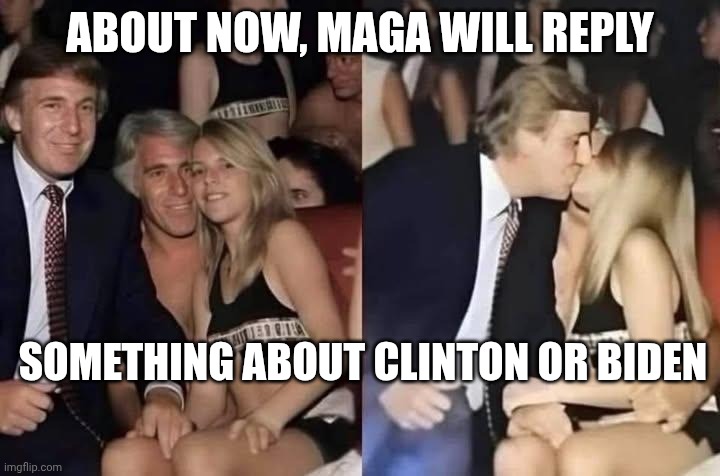 It's hard to see the forest for the trees or even the forest | ABOUT NOW, MAGA WILL REPLY; SOMETHING ABOUT CLINTON OR BIDEN | image tagged in trump epstein partying,donald trump,jeffrey epstein,pedophiles,epstein island | made w/ Imgflip meme maker