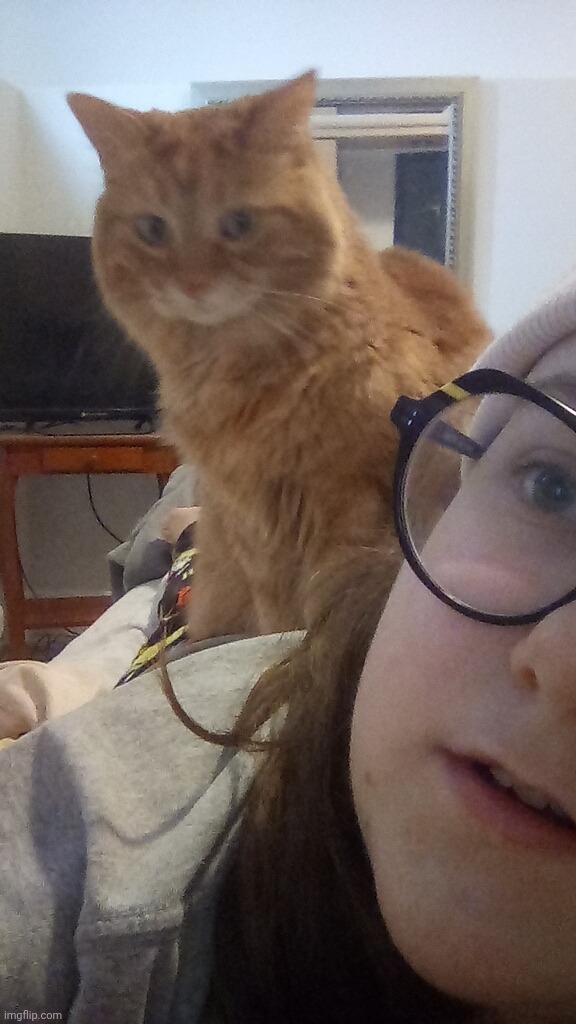 Goddamn cat | made w/ Imgflip meme maker