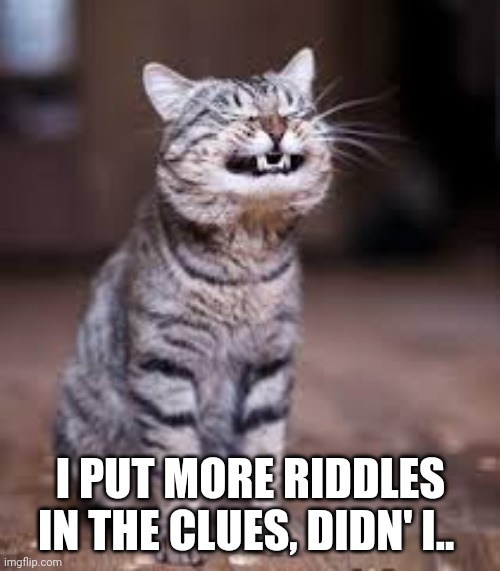 I PUT MORE RIDDLES IN THE CLUES, DIDN' I.. | image tagged in smiling cat | made w/ Imgflip meme maker