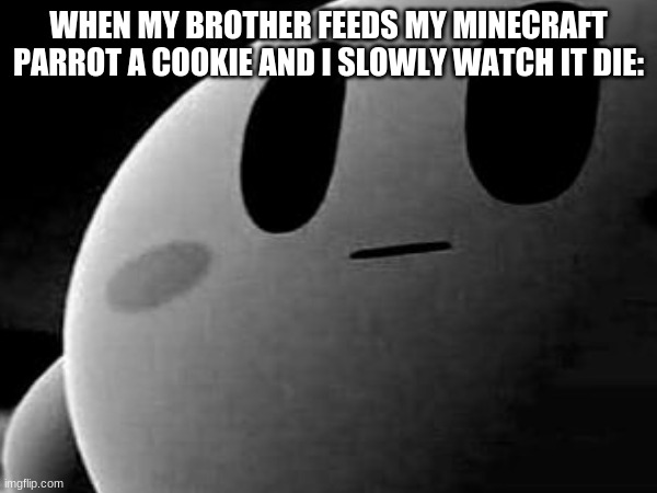 WHEN MY BROTHER FEEDS MY MINECRAFT PARROT A COOKIE AND I SLOWLY WATCH IT DIE: | image tagged in uncanny,minecraft,memes | made w/ Imgflip meme maker