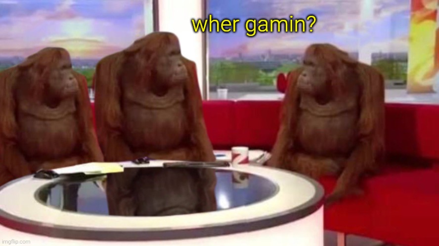 orangutan interview | wher gamin? | image tagged in orangutan interview | made w/ Imgflip meme maker