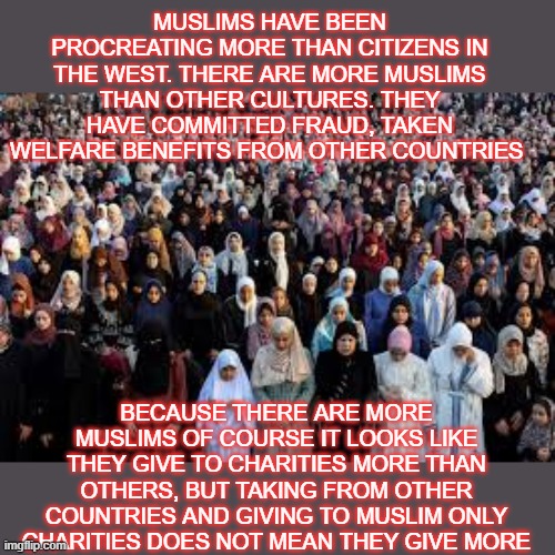 it doesn't mean muslims are giving more | MUSLIMS HAVE BEEN PROCREATING MORE THAN CITIZENS IN THE WEST. THERE ARE MORE MUSLIMS THAN OTHER CULTURES. THEY HAVE COMMITTED FRAUD, TAKEN WELFARE BENEFITS FROM OTHER COUNTRIES; BECAUSE THERE ARE MORE MUSLIMS OF COURSE IT LOOKS LIKE THEY GIVE TO CHARITIES MORE THAN OTHERS, BUT TAKING FROM OTHER COUNTRIES AND GIVING TO MUSLIM ONLY CHARITIES DOES NOT MEAN THEY GIVE MORE | made w/ Imgflip meme maker