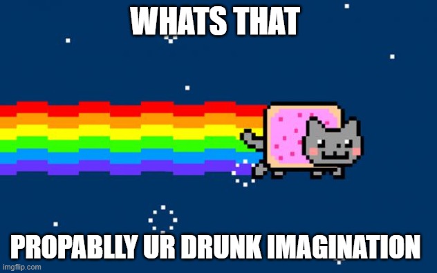Nyan Cat | WHATS THAT; PROPABLLY UR DRUNK IMAGINATION | image tagged in nyan cat | made w/ Imgflip meme maker