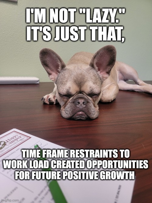 You're lazy | I'M NOT "LAZY." 
IT'S JUST THAT, TIME FRAME RESTRAINTS TO WORK LOAD CREATED OPPORTUNITIES FOR FUTURE POSITIVE GROWTH | image tagged in frenchie,funny dogs,work sucks,funny dog memes | made w/ Imgflip meme maker