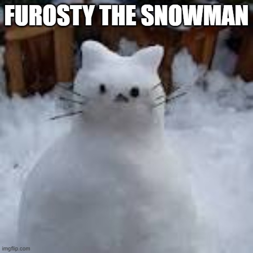May I introduce to you "Furosty the Snowman".   --  funny  -- | FUROSTY THE SNOWMAN | image tagged in funny,humor,cat,kittens,frosty the snowman,christmas | made w/ Imgflip meme maker