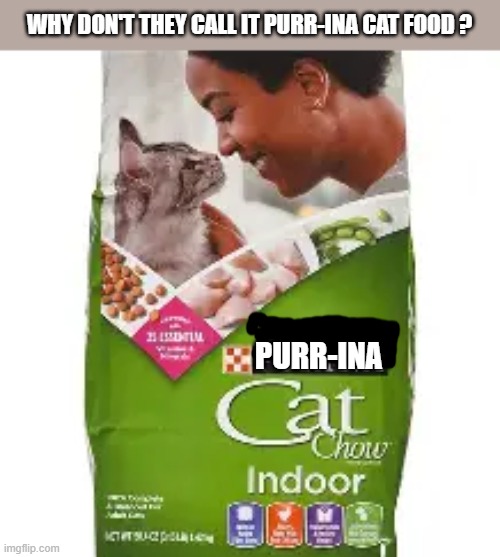 Why don't they just call it Purr-ina Cat Food ? | WHY DON'T THEY CALL IT PURR-INA CAT FOOD ? PURR-INA | image tagged in funny,humor,cat,kittens,cat food,play on words | made w/ Imgflip meme maker