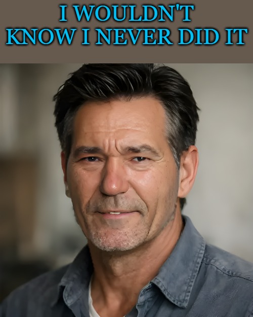 I WOULDN'T KNOW I NEVER DID IT | made w/ Imgflip meme maker
