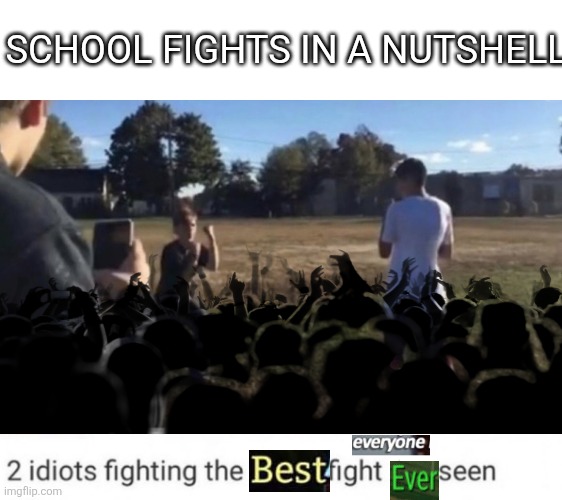 School fights in a nutshell | SCHOOL FIGHTS IN A NUTSHELL | image tagged in two idiots fighting | made w/ Imgflip meme maker