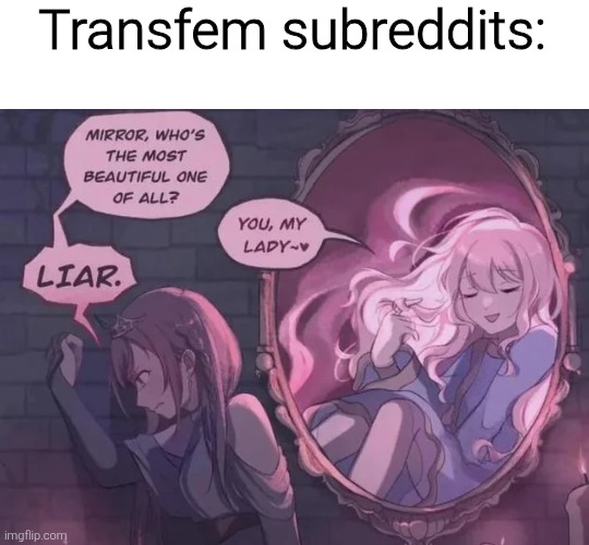 Transfem subreddits: | made w/ Imgflip meme maker