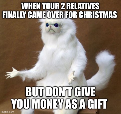 when white lemur | WHEN YOUR 2 RELATIVES FINALLY CAME OVER FOR CHRISTMAS; BUT DON’T GIVE YOU MONEY AS A GIFT | image tagged in when white lemur,christmas | made w/ Imgflip meme maker