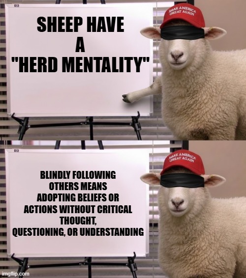 HERD MENTALITY | SHEEP HAVE
 A 
"HERD MENTALITY" BLINDLY FOLLOWING OTHERS MEANS ADOPTING BELIEFS OR ACTIONS WITHOUT CRITICAL THOUGHT, QUESTIONING, OR UNDERST | image tagged in herd mentality,maga,trump,jim halpert explains,jim office blinds,sheep | made w/ Imgflip meme maker