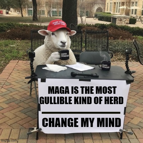 CHANGE MY MIND.... | MAGA IS THE MOST GULLIBLE KIND OF HERD CHANGE MY MIND | image tagged in change my mind,gullible,maga,trump,change my mind crowder,sheep | made w/ Imgflip meme maker