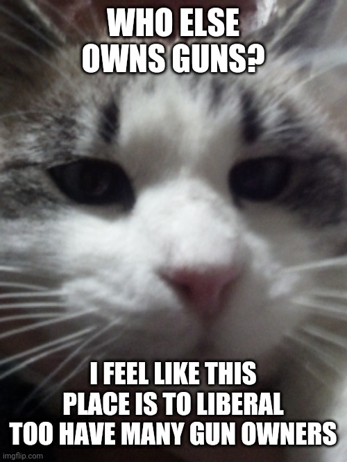 Who uses guns instead of just own one for self defense at home | WHO ELSE OWNS GUNS? I FEEL LIKE THIS PLACE IS TO LIBERAL TOO HAVE MANY GUN OWNERS | image tagged in sour hart announcement template | made w/ Imgflip meme maker