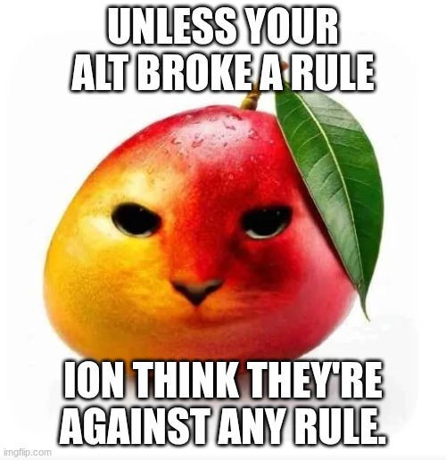 it could be a new rule though :P | UNLESS YOUR ALT BROKE A RULE; ION THINK THEY'RE AGAINST ANY RULE. | image tagged in cat mango | made w/ Imgflip meme maker