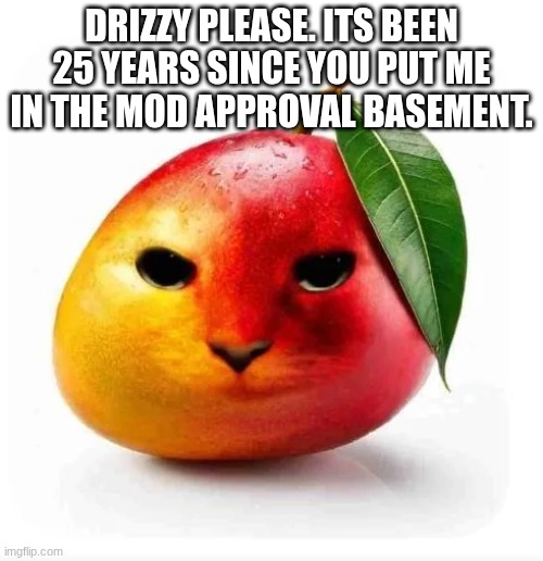 /silly :P | DRIZZY PLEASE. ITS BEEN 25 YEARS SINCE YOU PUT ME IN THE MOD APPROVAL BASEMENT. | image tagged in cat mango | made w/ Imgflip meme maker