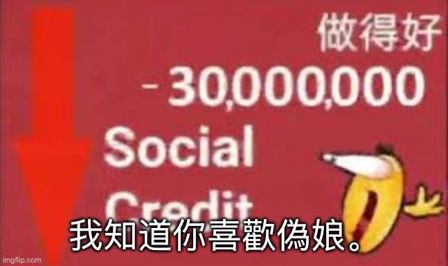 social credit | 我知道你喜歡偽娘。 | image tagged in social credit | made w/ Imgflip meme maker