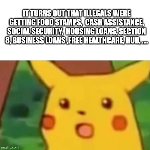Annnnnd they were voting | IT TURNS OUT THAT ILLEGALS WERE GETTING FOOD STAMPS,  CASH ASSISTANCE, SOCIAL SECURITY,  HOUSING LOANS, SECTION 8, BUSINESS LOANS ,FREE HEALTHCARE, HUD, .... | image tagged in memes,surprised pikachu | made w/ Imgflip meme maker