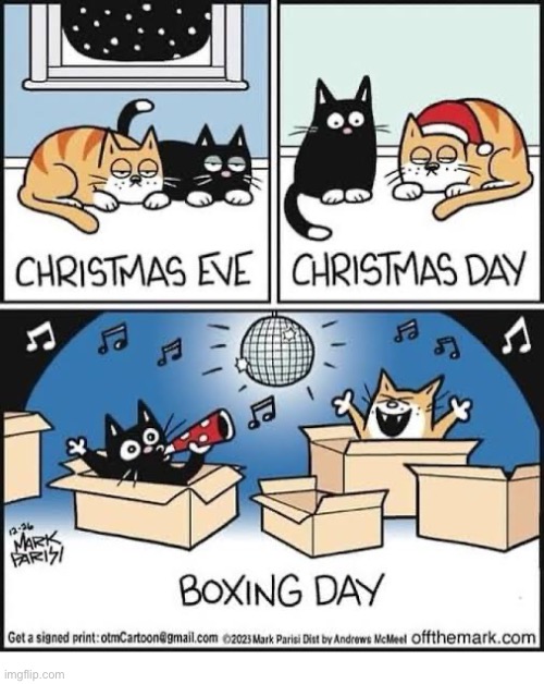 Boxing Day… the favorite holiday of cats everywhere! | image tagged in cats,comics,off the mark,holidays,boxes | made w/ Imgflip meme maker