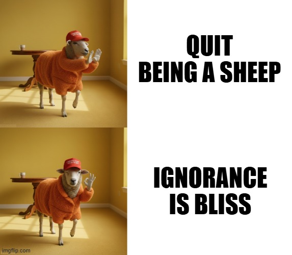 QUIT BEING A SHEEP?     IGNORANCE IS BLISS? | QUIT BEING A SHEEP; IGNORANCE IS BLISS | image tagged in ignorance is bliss,maga,trump,drake no/yes,drake yes no reverse,drake meme | made w/ Imgflip meme maker
