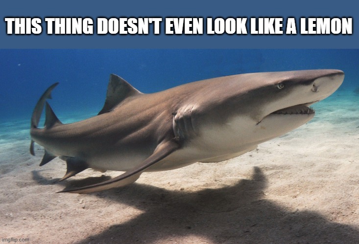 false advertising | THIS THING DOESN'T EVEN LOOK LIKE A LEMON | made w/ Imgflip meme maker