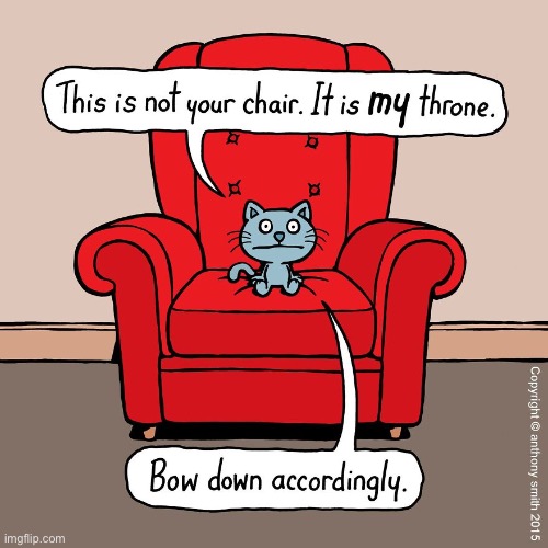 Cattitude | image tagged in cats,comics,cattitude,chair,throne,bow | made w/ Imgflip meme maker