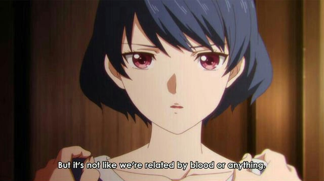 But it’s not like we’re related by blood or anything Blank Meme Template