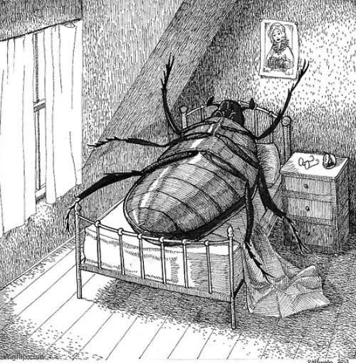 he do be a bug doe | image tagged in he do be a bug doe | made w/ Imgflip meme maker