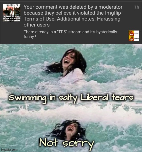 But , it got 10 upvotes | Not sorry | image tagged in maga is fun,unpopular opinion,well yes but actually no,triggered liberal,overly sensitive,jokes | made w/ Imgflip meme maker