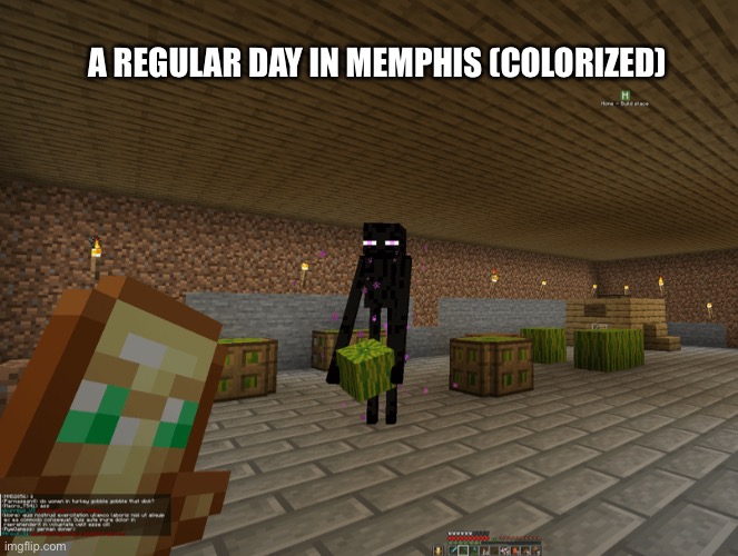 Give the watermelon back | A REGULAR DAY IN MEMPHIS (COLORIZED) | image tagged in enderman,minecraft,watermelon,memes | made w/ Imgflip meme maker