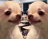 evil dog same Blank Meme Template