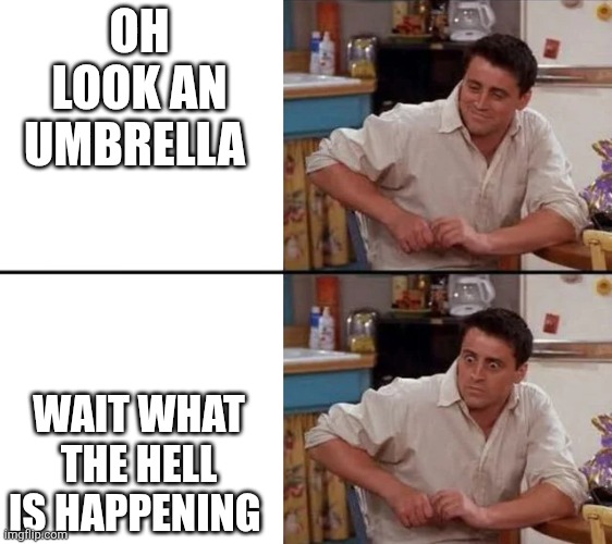 Surprised Joey | OH LOOK AN UMBRELLA WAIT WHAT THE HELL IS HAPPENING | image tagged in surprised joey | made w/ Imgflip meme maker