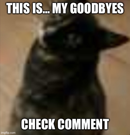 THIS IS… MY GOODBYES; CHECK COMMENT | made w/ Imgflip meme maker