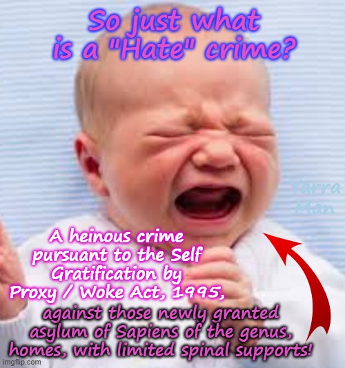 So just what constitutes a "HATE" crime! | So just what is a "Hate" crime? Yarra Man; A heinous crime pursuant to the Self Gratification by Proxy / Woke Act, 1995, against those newly granted asylum of Sapiens of the genus, homes, with limited spinal supports! | image tagged in self gratification by proxy,virtue signalling woke,girls babies sooks,labor labour greens teals democrats,tampon tim walz | made w/ Imgflip meme maker