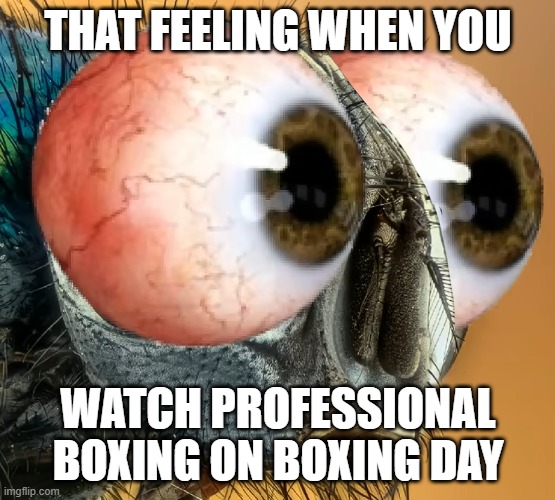 That feeling when you watch professional boxing on boxing day | THAT FEELING WHEN YOU; WATCH PROFESSIONAL BOXING ON BOXING DAY | image tagged in fly with bulging human eyes,fly,boxing,boxing day | made w/ Imgflip meme maker