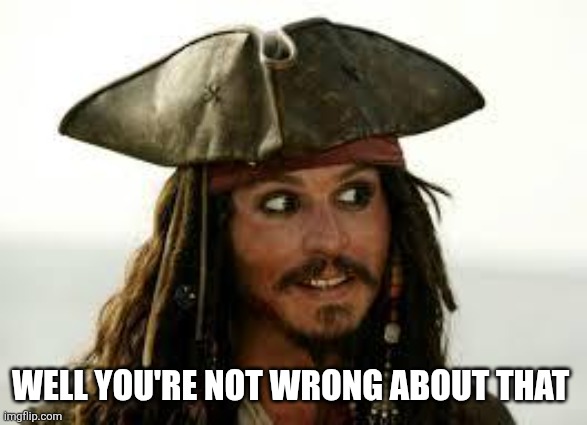 Captain Jack Sparrow | WELL YOU'RE NOT WRONG ABOUT THAT | image tagged in captain jack sparrow | made w/ Imgflip meme maker