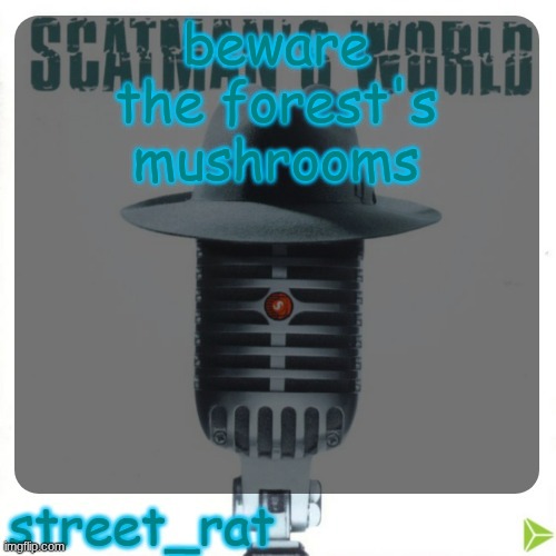 street rat's scatman john temp | beware the forest's mushrooms | image tagged in street rat's scatman john temp | made w/ Imgflip meme maker