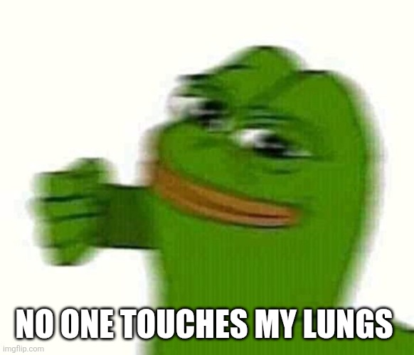 Pepe the frog punching | NO ONE TOUCHES MY LUNGS | image tagged in pepe the frog punching | made w/ Imgflip meme maker