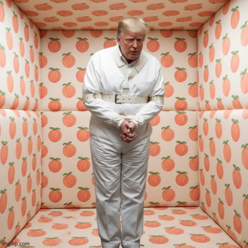 INSANE PEACH | image tagged in insane peach | made w/ Imgflip meme maker