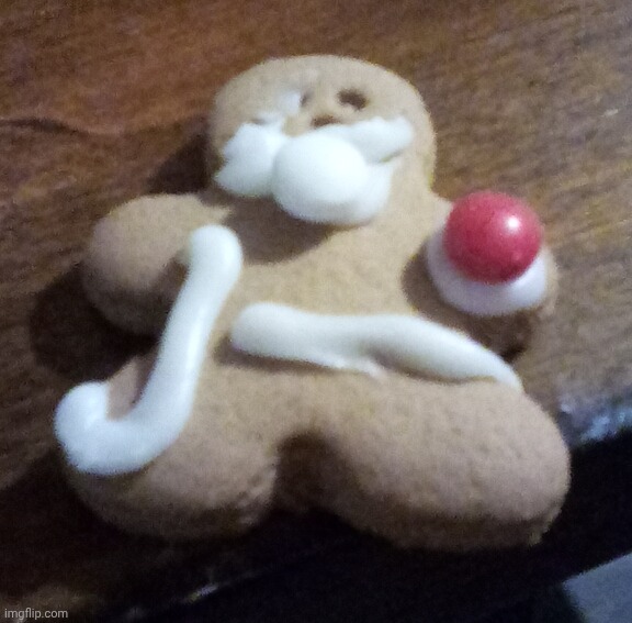 I tried making a ginger bread house | made w/ Imgflip meme maker