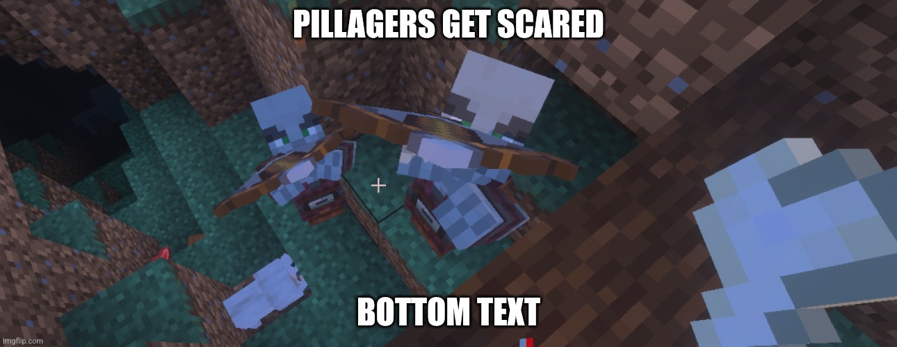 Pillagers | PILLAGERS GET SCARED; BOTTOM TEXT | image tagged in pillagers | made w/ Imgflip meme maker