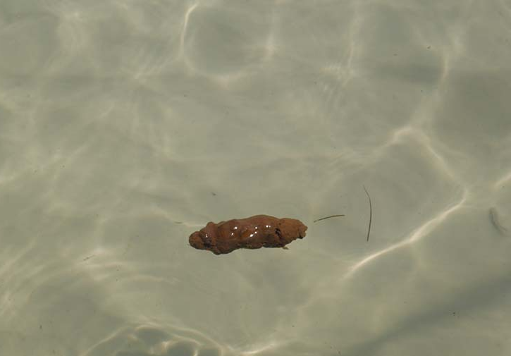 USS Obama Blank Meme Template