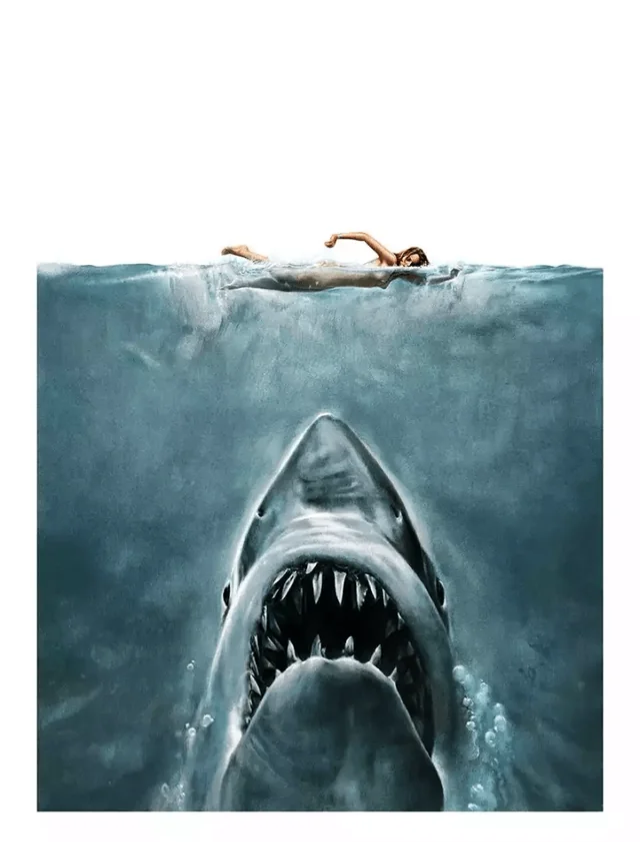 Jaws Blank Meme Template