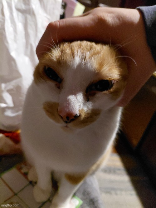 2 | made w/ Imgflip meme maker