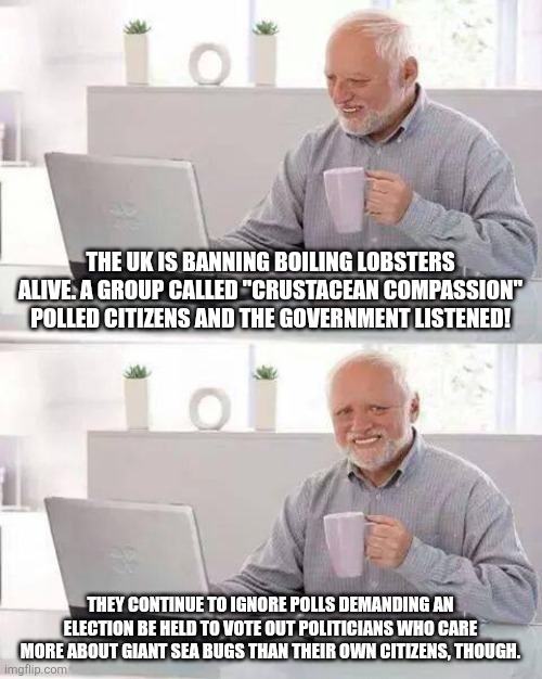 I'm not upset that the world is ending. I'm pissed because it hasn't ended yet. | THE UK IS BANNING BOILING LOBSTERS ALIVE. A GROUP CALLED "CRUSTACEAN COMPASSION" POLLED CITIZENS AND THE GOVERNMENT LISTENED! THEY CONTINUE TO IGNORE POLLS DEMANDING AN ELECTION BE HELD TO VOTE OUT POLITICIANS WHO CARE MORE ABOUT GIANT SEA BUGS THAN THEIR OWN CITIZENS, THOUGH. | image tagged in memes,hide the pain harold | made w/ Imgflip meme maker