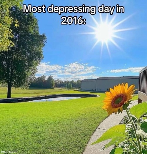 image tagged in 2016 | made w/ Imgflip meme maker